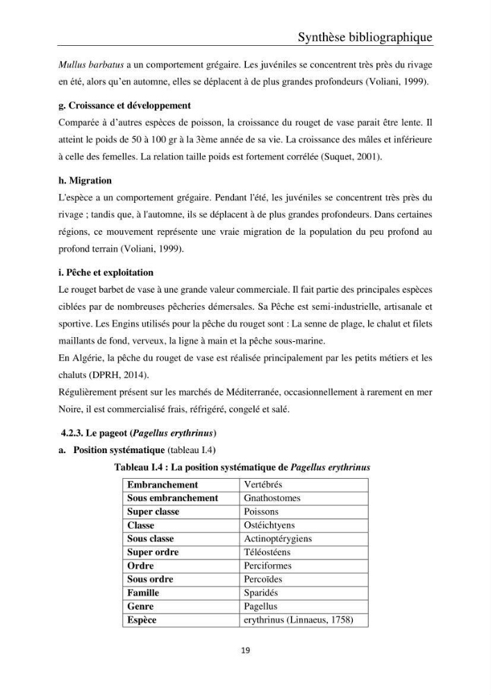 Etude de la bioaccumulation des métaux traces par trois poissons démersaux dans le golfe de Ghazaouet