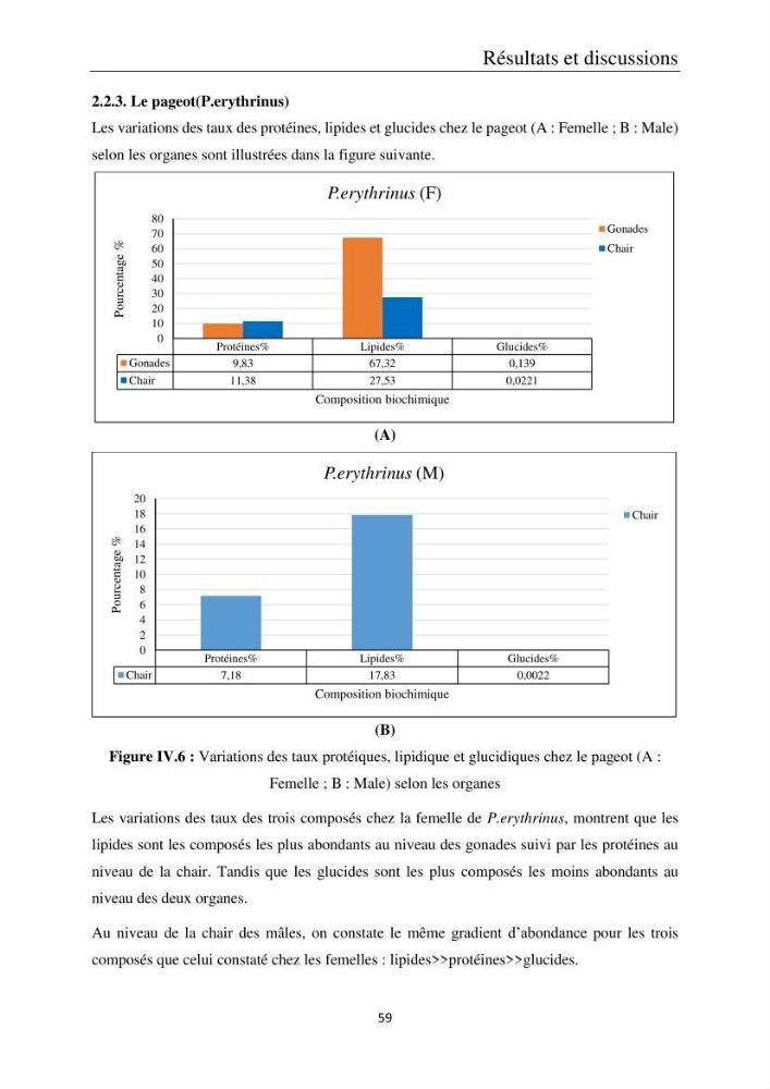 Etude de la bioaccumulation des métaux traces par trois poissons démersaux dans le golfe de Ghazaouet