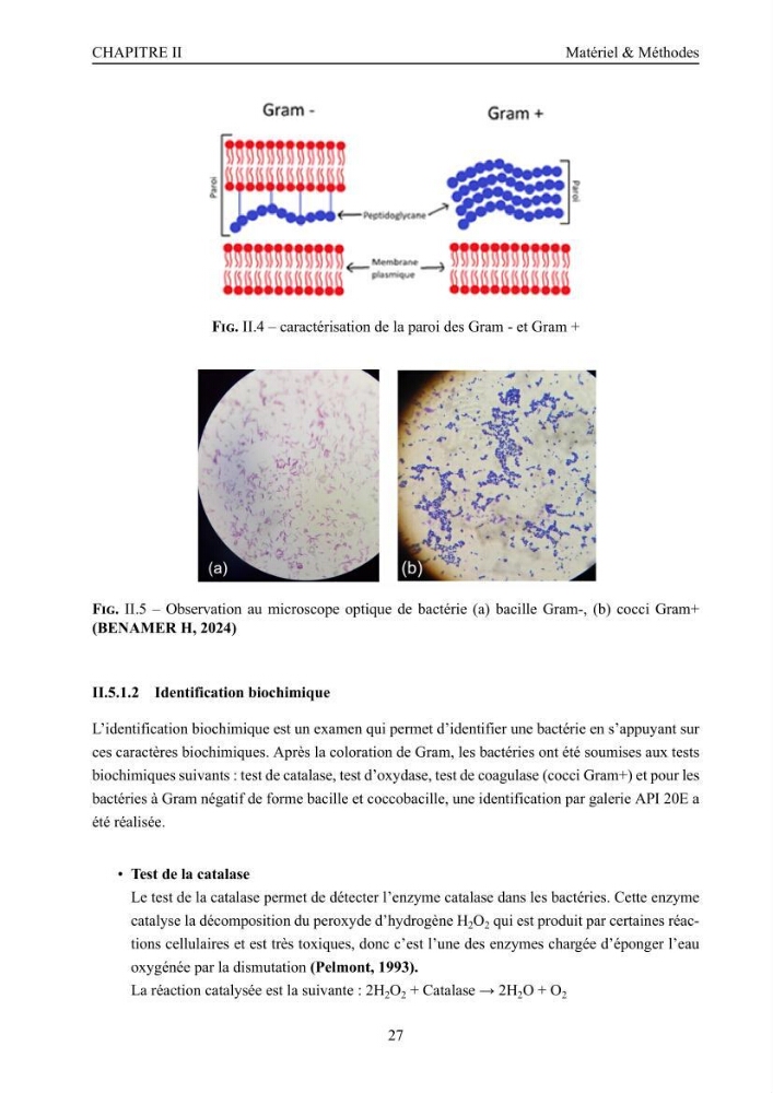 Evaluation de la résistance aux métaux lourds et du potentiel d’élimination du chrome hexavalent chez des bactéries d’origines marines Projet de mise en place d’un procédé de traitement des effluents riches en chrome.
