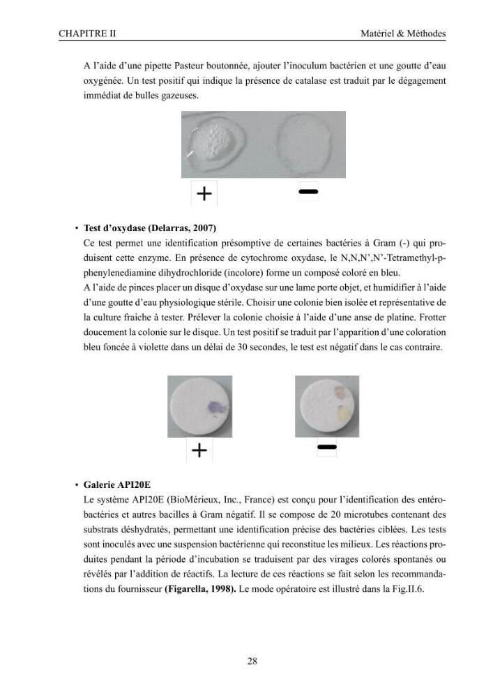 Evaluation de la résistance aux métaux lourds et du potentiel d’élimination du chrome hexavalent chez des bactéries d’origines marines Projet de mise en place d’un procédé de traitement des effluents riches en chrome.