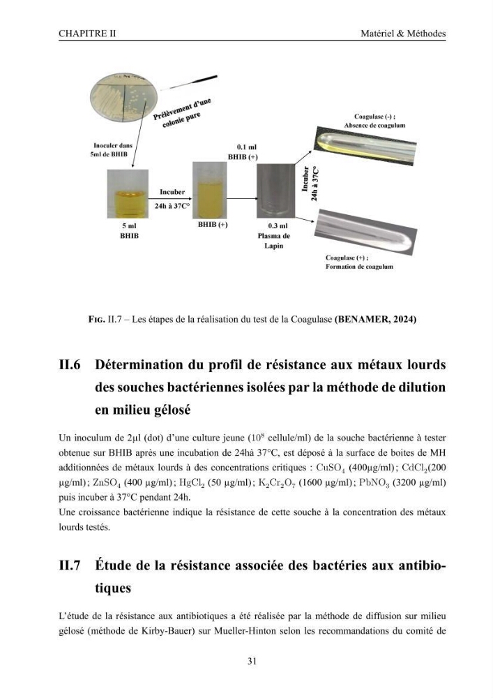 Evaluation de la résistance aux métaux lourds et du potentiel d’élimination du chrome hexavalent chez des bactéries d’origines marines Projet de mise en place d’un procédé de traitement des effluents riches en chrome.
