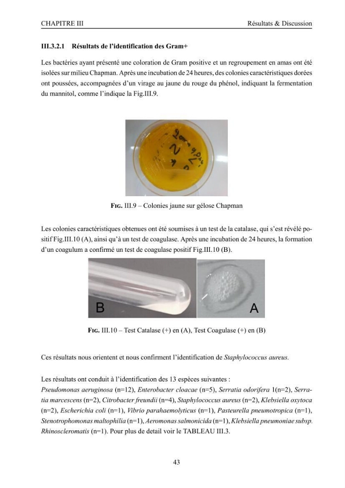 Evaluation de la résistance aux métaux lourds et du potentiel d’élimination du chrome hexavalent chez des bactéries d’origines marines Projet de mise en place d’un procédé de traitement des effluents riches en chrome.