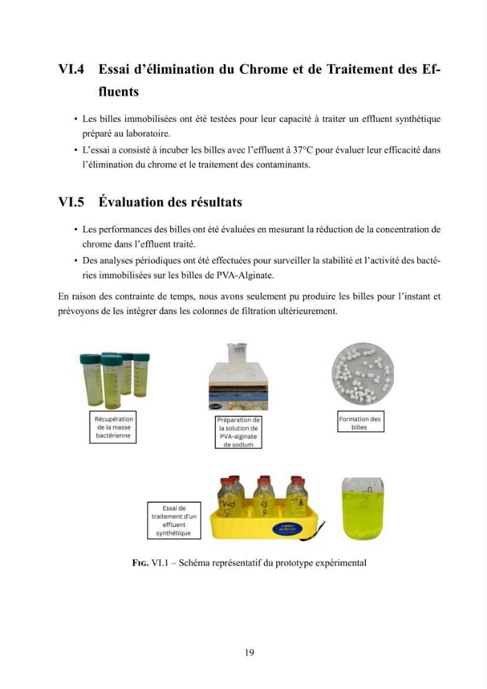 Evaluation de la résistance aux métaux lourds et du potentiel d’élimination du chrome hexavalent chez des bactéries d’origines marines Projet de mise en place d’un procédé de traitement des effluents riches en chrome.