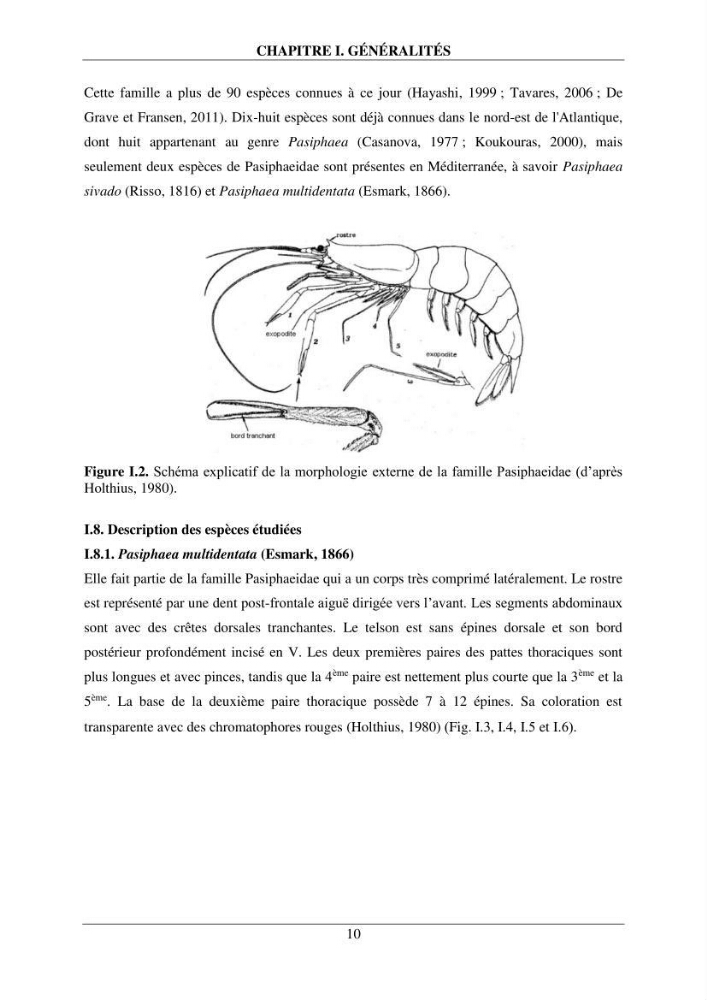 Contribution à l\'étude de quelques paramètres de la biologie des espèces de la famille Pasiphaeidae (Crustacea, Decapoda) dans la région centre du bassin algérien