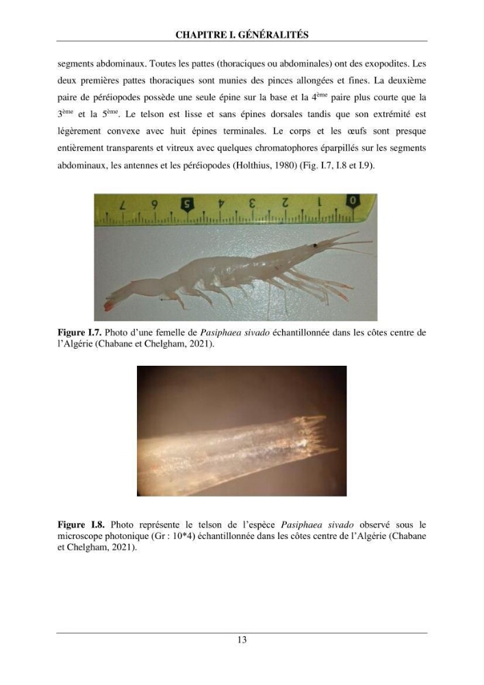 Contribution à l\'étude de quelques paramètres de la biologie des espèces de la famille Pasiphaeidae (Crustacea, Decapoda) dans la région centre du bassin algérien