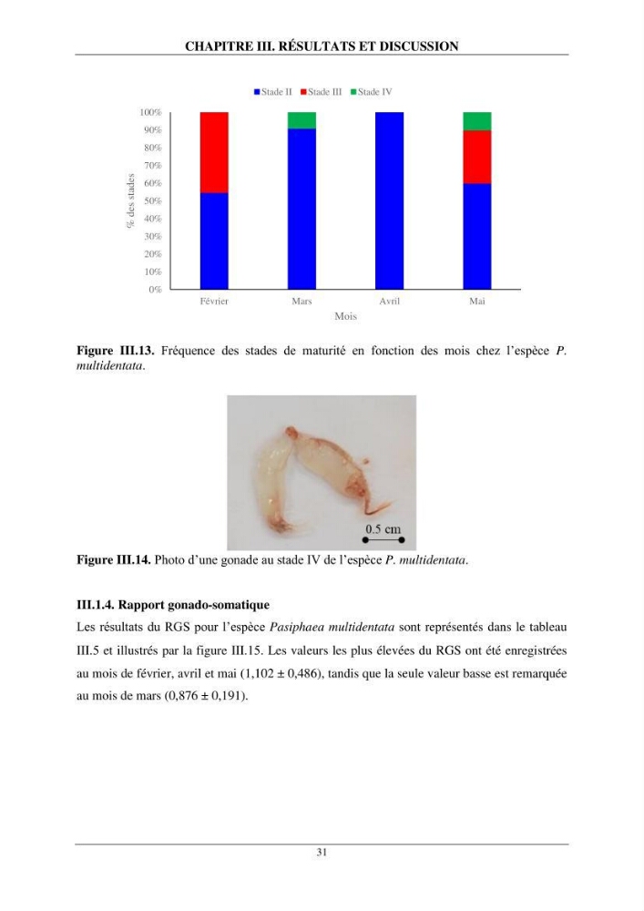 Contribution à l\'étude de quelques paramètres de la biologie des espèces de la famille Pasiphaeidae (Crustacea, Decapoda) dans la région centre du bassin algérien