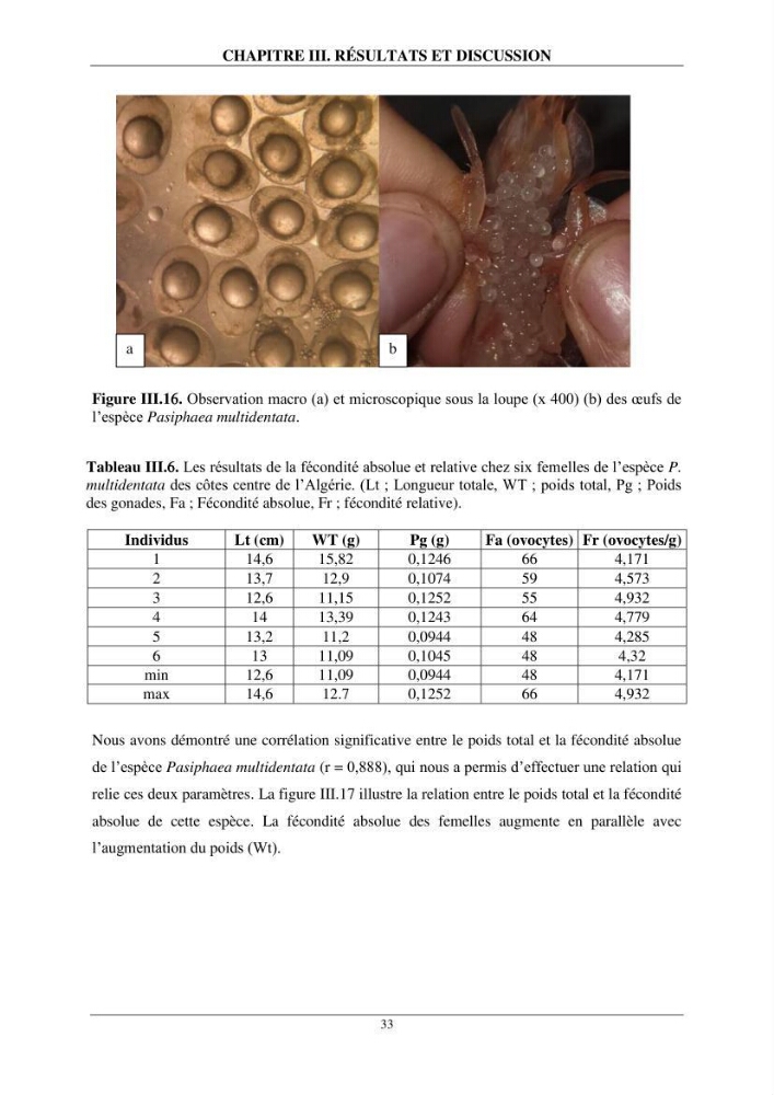 Contribution à l\'étude de quelques paramètres de la biologie des espèces de la famille Pasiphaeidae (Crustacea, Decapoda) dans la région centre du bassin algérien