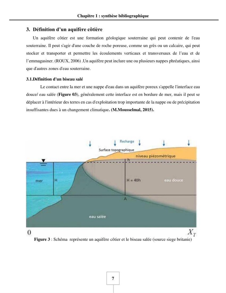 Utilisation de la géomatique pour cartographie la vulnérabilité à l\'intrusion marine: cas de l\'aquifère de sahel d\'Alger