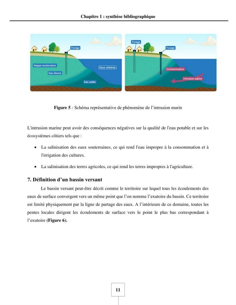 Utilisation de la géomatique pour cartographie la vulnérabilité à l\'intrusion marine: cas de l\'aquifère de sahel d\'Alger