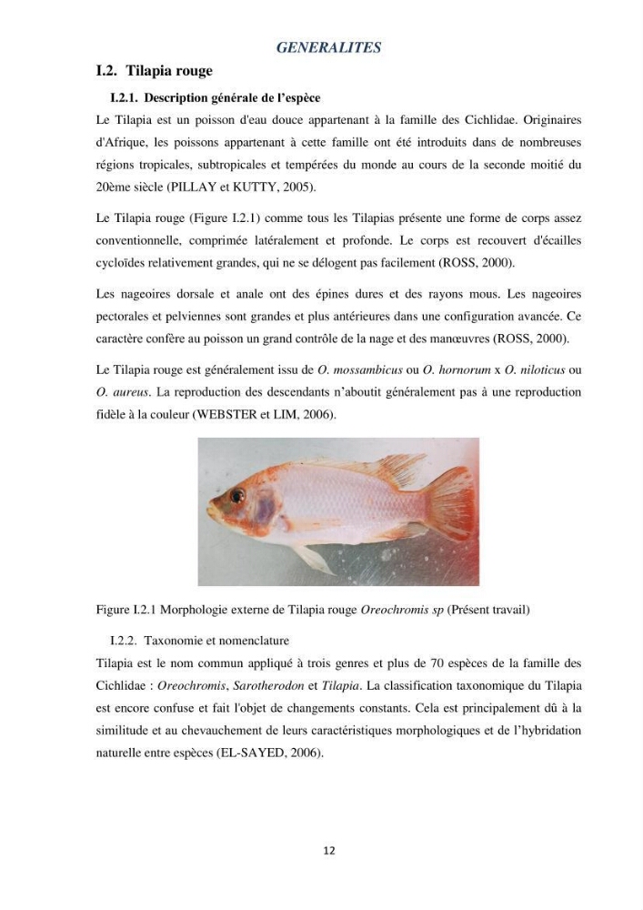 Evaluation d’une production piscicole dans un système d’alimentation associé