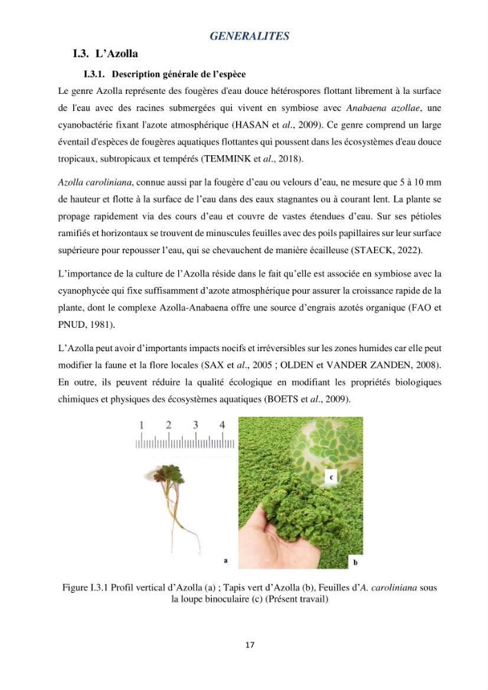 Evaluation d’une production piscicole dans un système d’alimentation associé