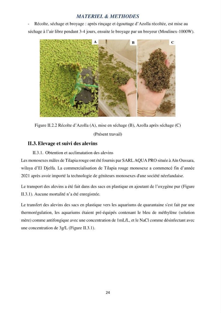 Evaluation d’une production piscicole dans un système d’alimentation associé