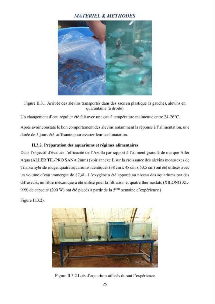 Evaluation d’une production piscicole dans un système d’alimentation associé