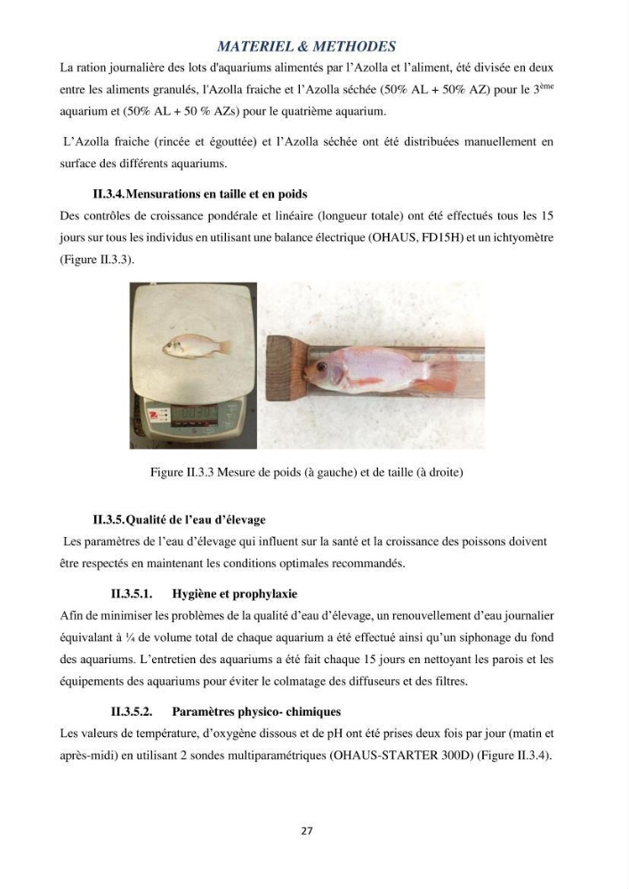 Evaluation d’une production piscicole dans un système d’alimentation associé