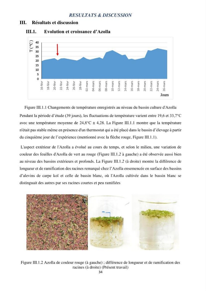 Evaluation d’une production piscicole dans un système d’alimentation associé