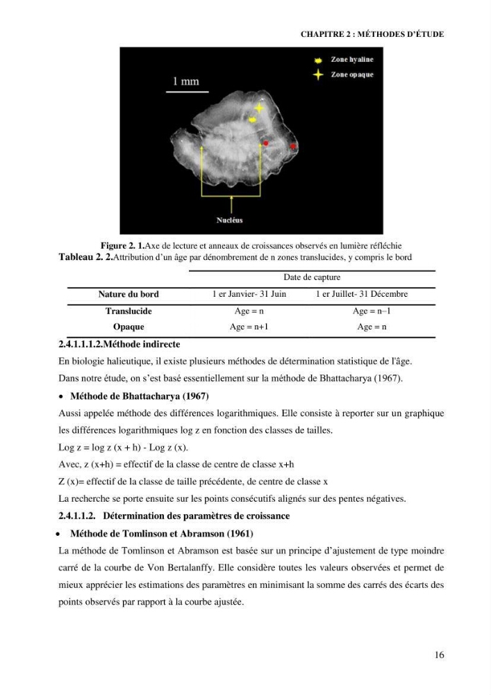 Contribution à l’étude de la croissance et de l’exploitation de l’espèce « Mullus barbatus» dans la baie de Jijel.