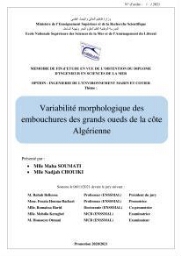 Variabilité morphologique des embouchures des grands oueds de la côte algérienne