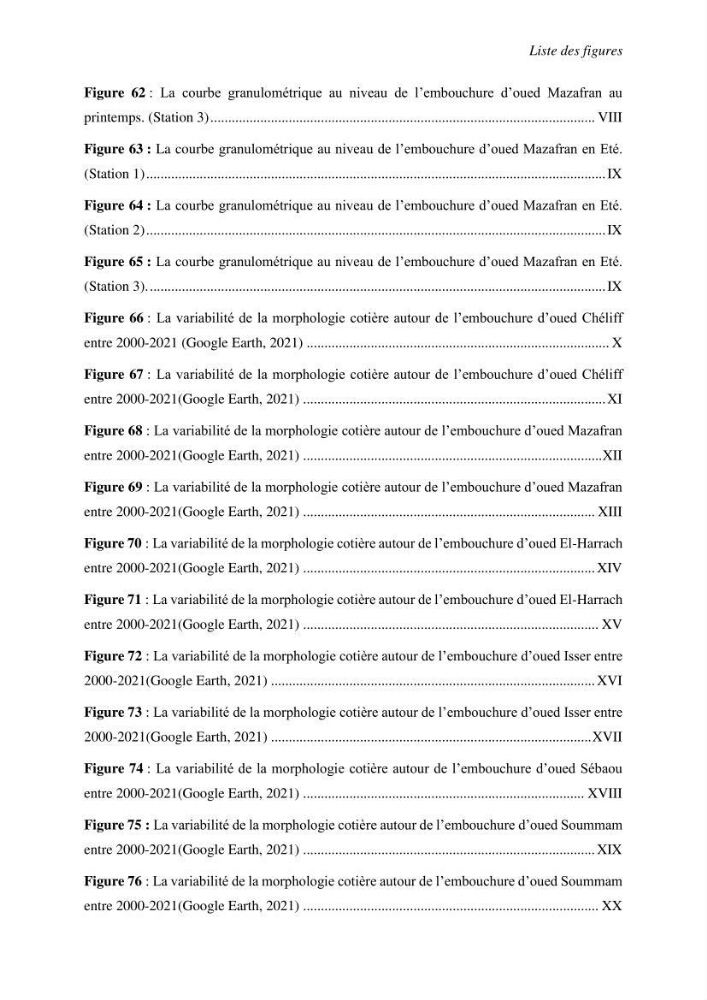 Variabilité morphologique des embouchures des grands oueds de la côte algérienne