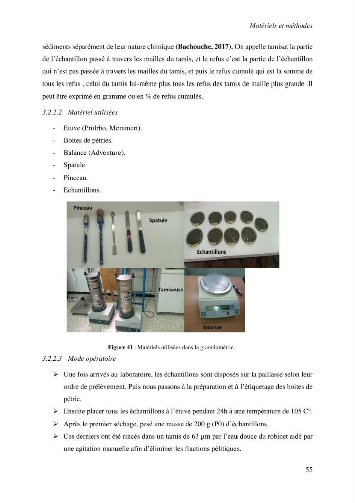 Variabilité morphologique des embouchures des grands oueds de la côte algérienne
