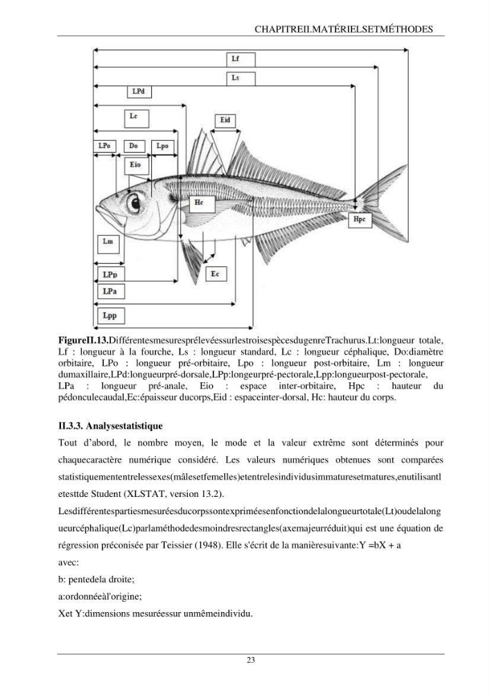 L\'étude biométrique des espèces du genre Trachurus ( Poisons, Téleostéens, Carangidae ) de la région centre du littoral Algérien