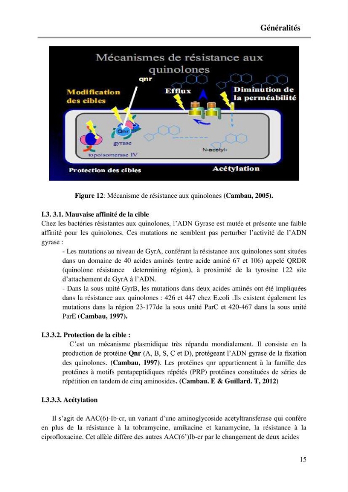 Caractérisation génétique de la résistance aux quinolones chez des coliformes isolés à partir de la moule (Mytilus galloprovincialis)