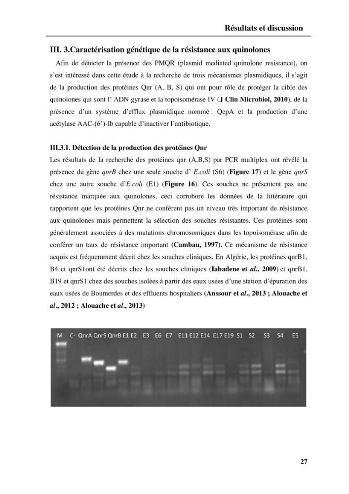 Caractérisation génétique de la résistance aux quinolones chez des coliformes isolés à partir de la moule (Mytilus galloprovincialis)