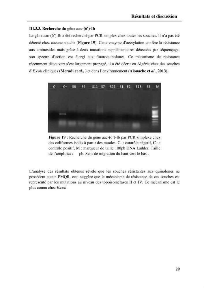Caractérisation génétique de la résistance aux quinolones chez des coliformes isolés à partir de la moule (Mytilus galloprovincialis)