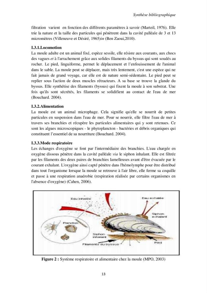 Biochimie des moules de la région Algéroise