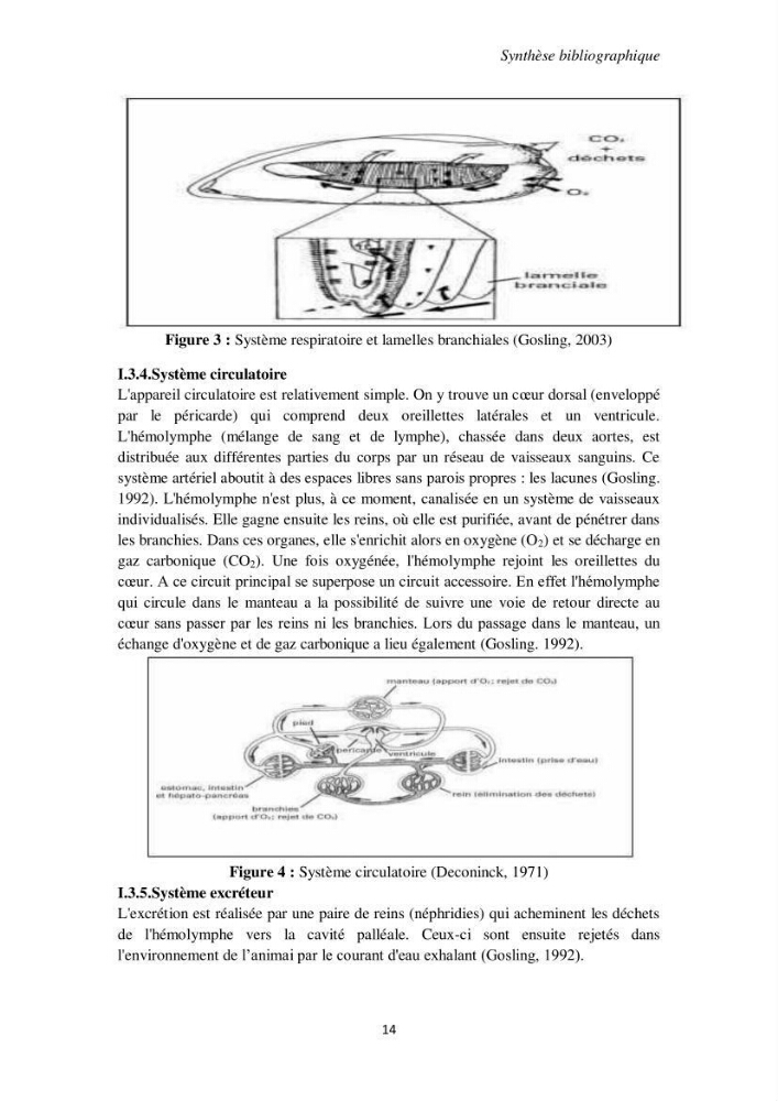 Biochimie des moules de la région Algéroise