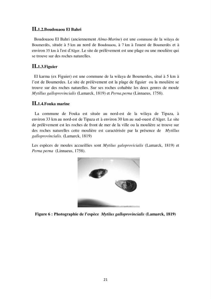 Biochimie des moules de la région Algéroise