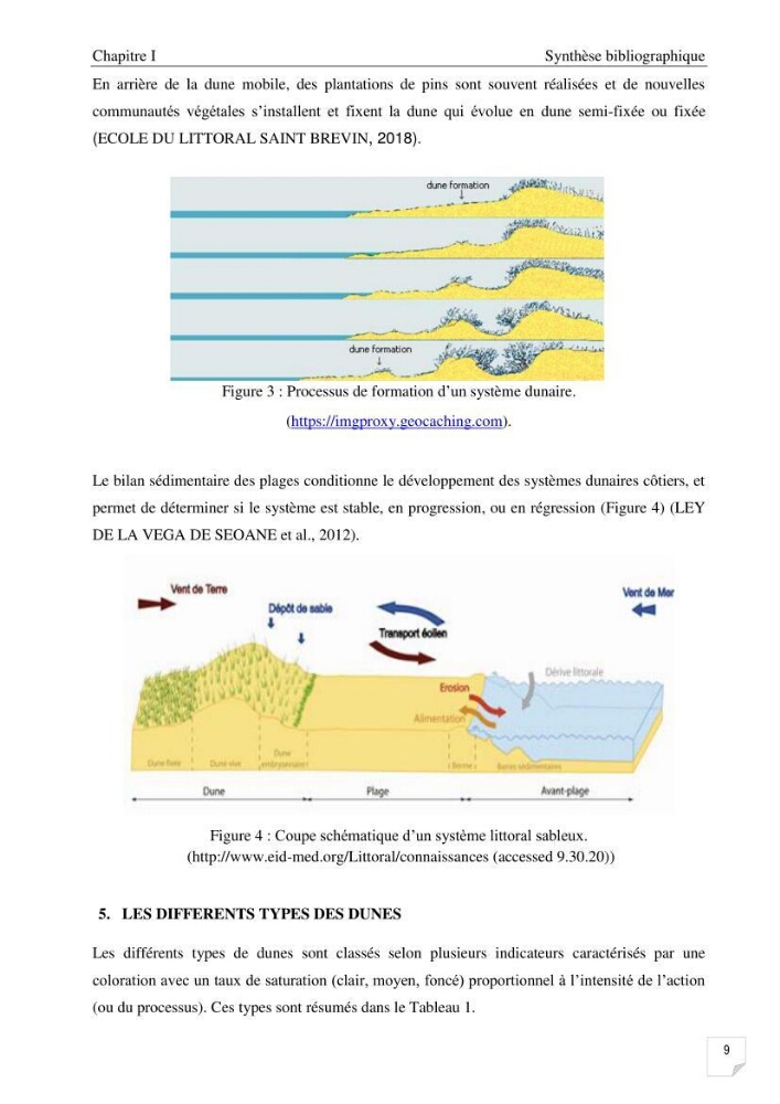 Etude de l\'évolution surfaçique et volumétrique du cordon dunaire d\'El Kadous ( commune de Heraoua)
