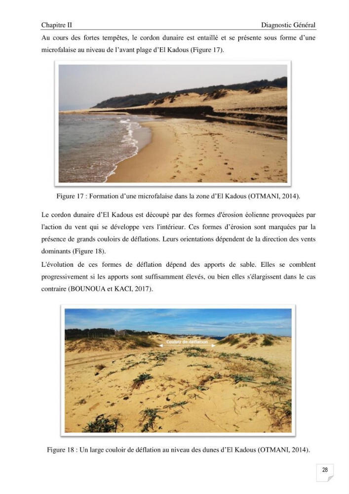 Etude de l\'évolution surfaçique et volumétrique du cordon dunaire d\'El Kadous ( commune de Heraoua)