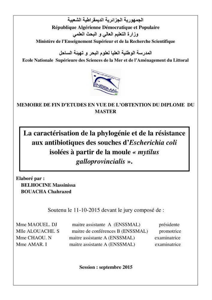 La caractérisation de la phylogénie et de la résistance aux antibiotiques des souches d\'Escherichia coli isolées à partir de la moule \"mytilus galloprovincialis\":