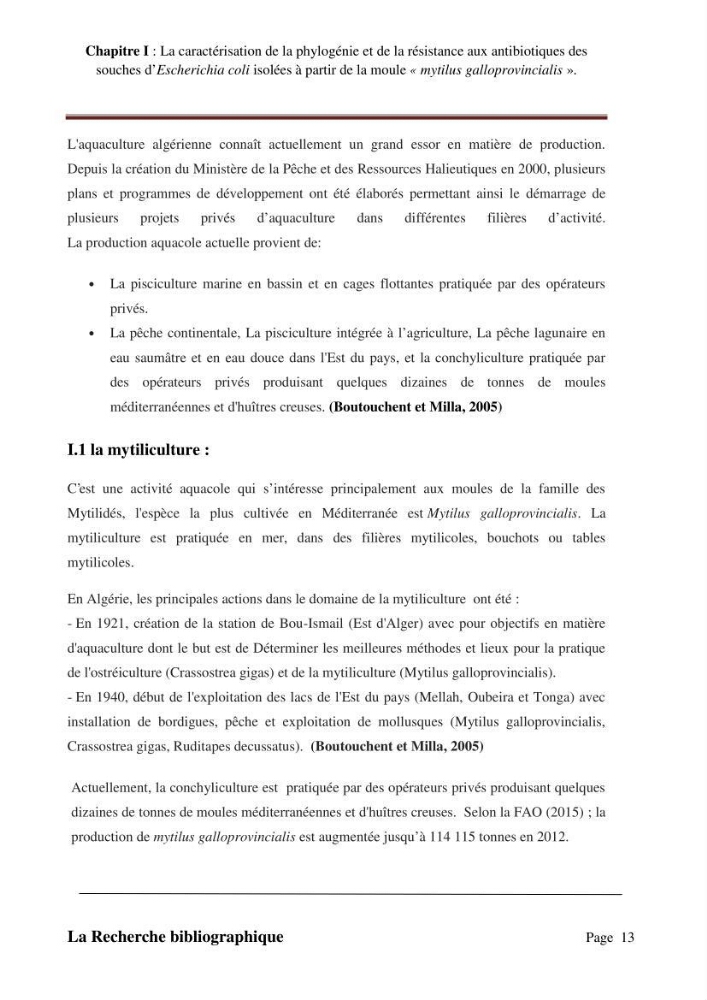 La caractérisation de la phylogénie et de la résistance aux antibiotiques des souches d\'Escherichia coli isolées à partir de la moule \"mytilus galloprovincialis\":