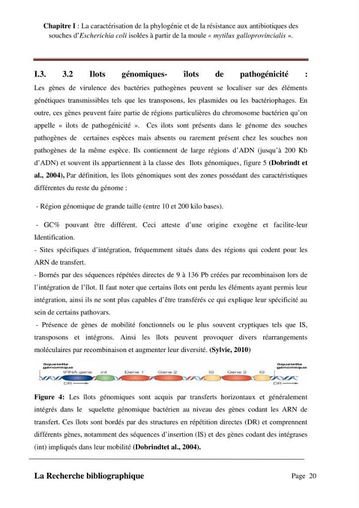 La caractérisation de la phylogénie et de la résistance aux antibiotiques des souches d\'Escherichia coli isolées à partir de la moule \"mytilus galloprovincialis\":