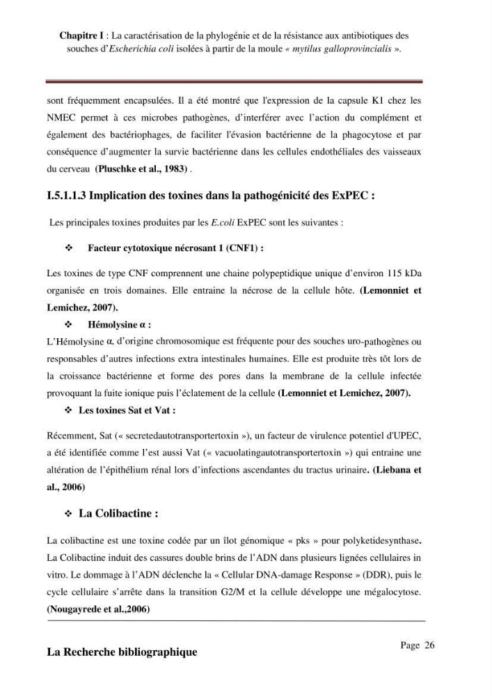 La caractérisation de la phylogénie et de la résistance aux antibiotiques des souches d\'Escherichia coli isolées à partir de la moule \"mytilus galloprovincialis\":