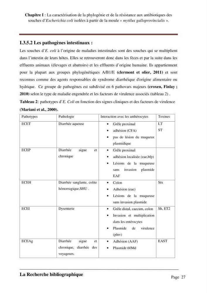La caractérisation de la phylogénie et de la résistance aux antibiotiques des souches d\'Escherichia coli isolées à partir de la moule \"mytilus galloprovincialis\":