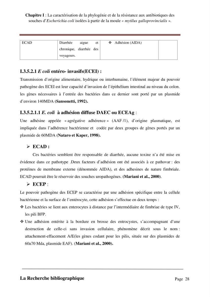 La caractérisation de la phylogénie et de la résistance aux antibiotiques des souches d\'Escherichia coli isolées à partir de la moule \"mytilus galloprovincialis\":