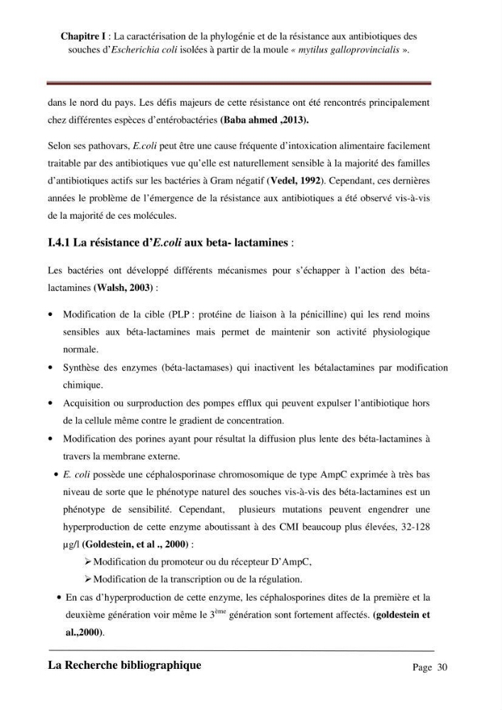 La caractérisation de la phylogénie et de la résistance aux antibiotiques des souches d\'Escherichia coli isolées à partir de la moule \"mytilus galloprovincialis\":