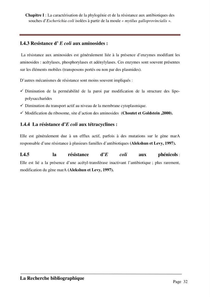 La caractérisation de la phylogénie et de la résistance aux antibiotiques des souches d\'Escherichia coli isolées à partir de la moule \"mytilus galloprovincialis\":