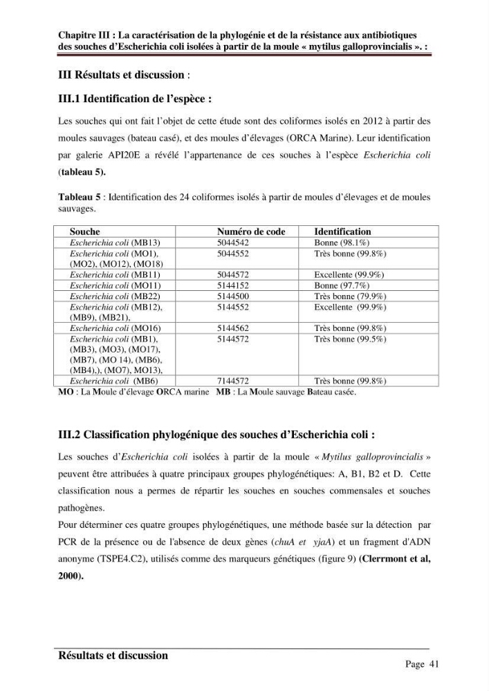 La caractérisation de la phylogénie et de la résistance aux antibiotiques des souches d\'Escherichia coli isolées à partir de la moule \"mytilus galloprovincialis\":