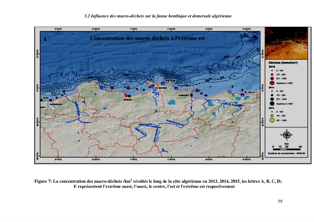 Contribution a l\'étude de l\'impact des changements des paramètres du milieu et de la préssion de la pêche sur les Bio-ressources marines Algériennes