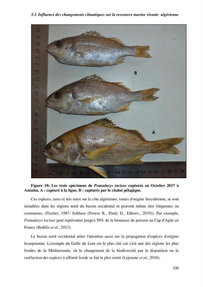 Contribution a l\'étude de l\'impact des changements des paramètres du milieu et de la préssion de la pêche sur les Bio-ressources marines Algériennes