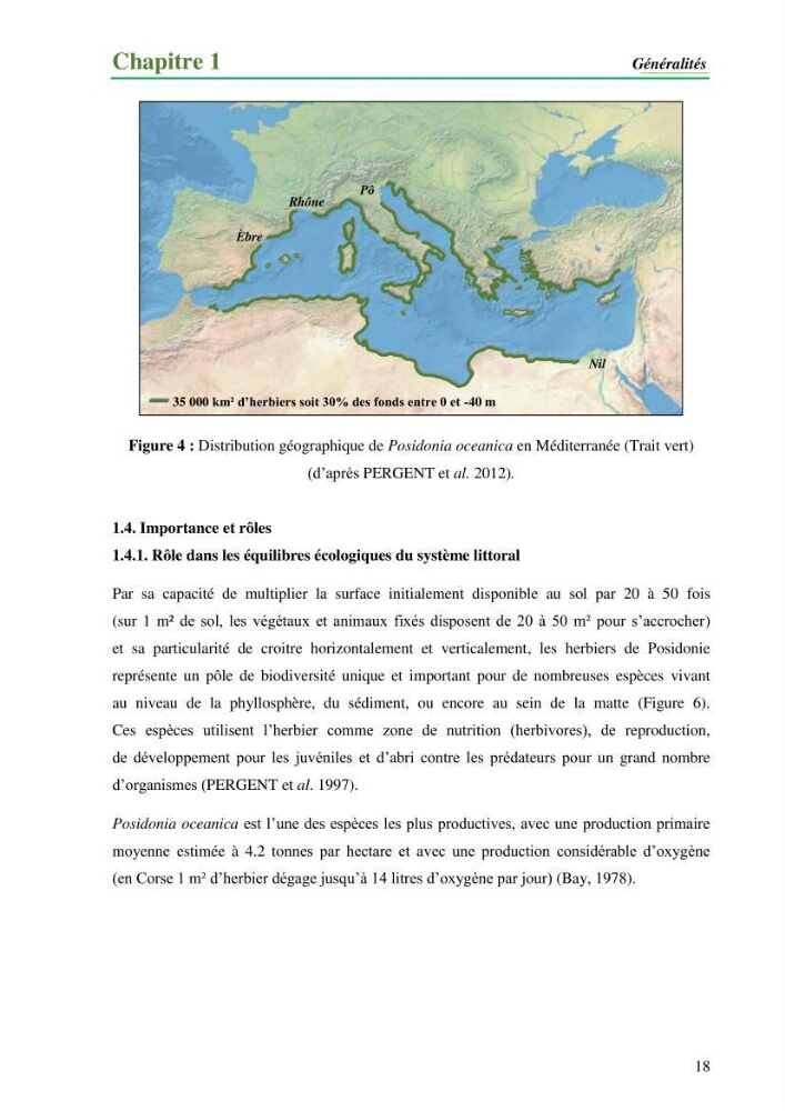 Cartographie de la limite supérieure de l\'herbier à Posidonia oceanica et du Trottoir à Vernets dans la région de Tipaza