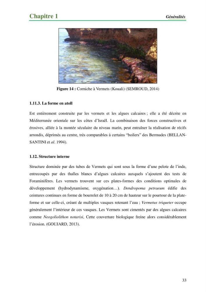 Cartographie de la limite supérieure de l\'herbier à Posidonia oceanica et du Trottoir à Vernets dans la région de Tipaza