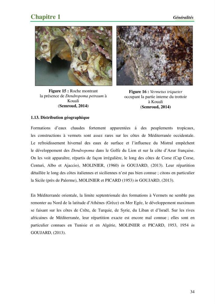 Cartographie de la limite supérieure de l\'herbier à Posidonia oceanica et du Trottoir à Vernets dans la région de Tipaza