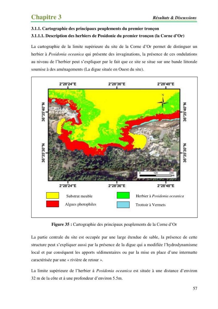 Cartographie de la limite supérieure de l\'herbier à Posidonia oceanica et du Trottoir à Vernets dans la région de Tipaza