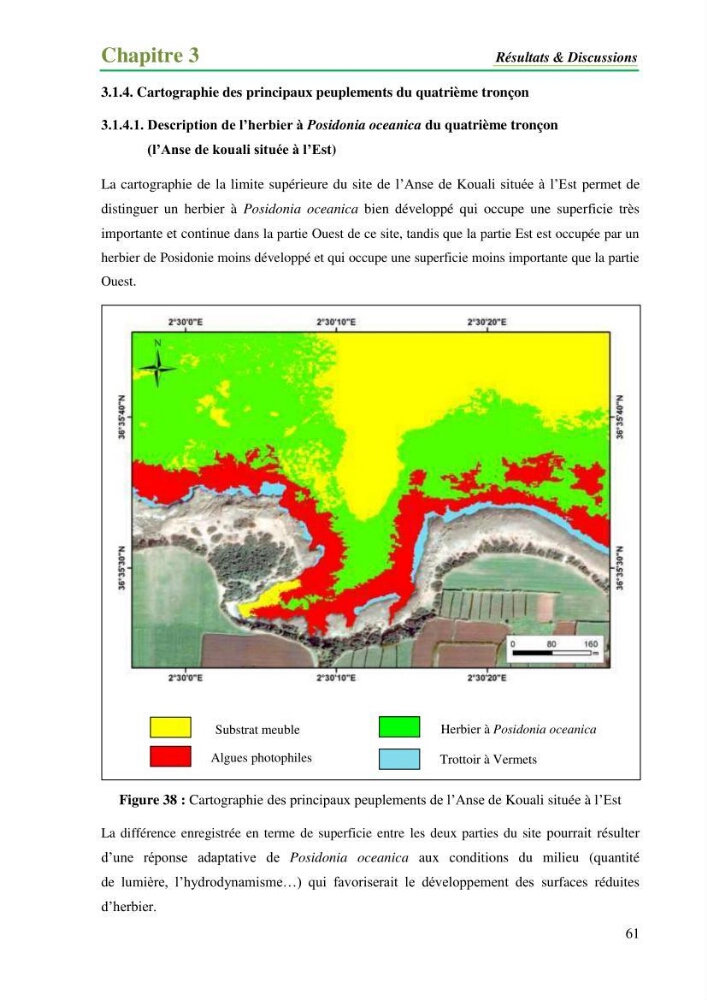 Cartographie de la limite supérieure de l\'herbier à Posidonia oceanica et du Trottoir à Vernets dans la région de Tipaza