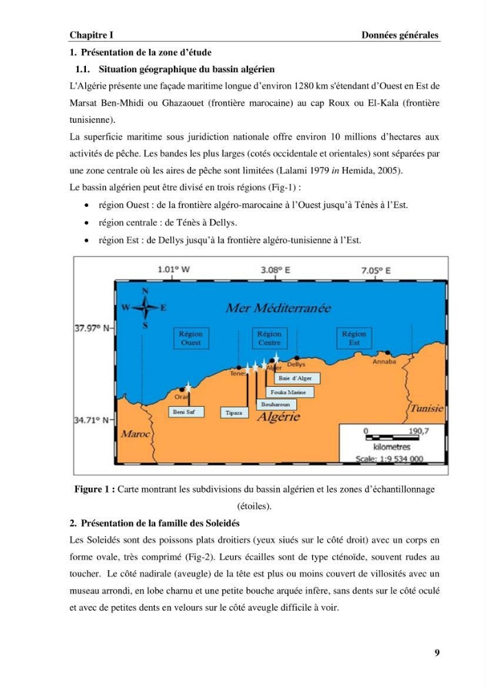 Etude systématique de la famille des soleidae des cotes algeriennes:analyses morphologique et morphométrique :