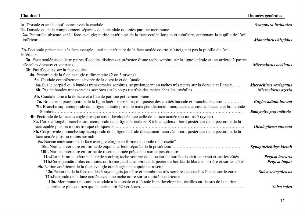 Etude systématique de la famille des soleidae des cotes algeriennes:analyses morphologique et morphométrique :